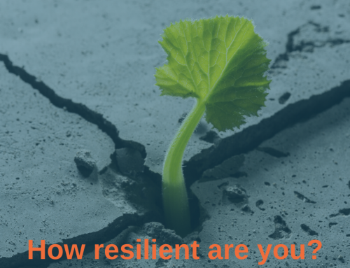 How Resilient Are You? Resilience in the Third Sector 