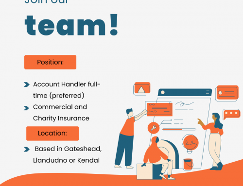 Join our team: Account Handler job specification
