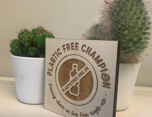 Plastic Champions: How to create a plastic free workplace